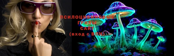 мескалин Алексин