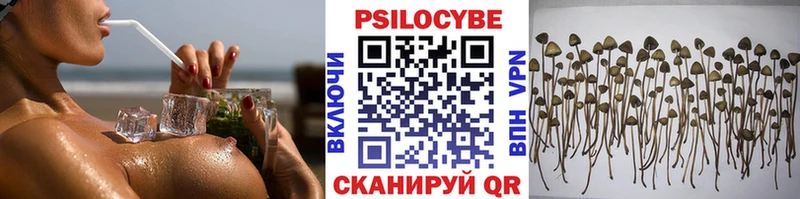 цена Зуевка Галлюциногенные грибы GOLDEN TEACHER